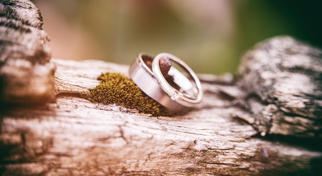 木の上に置いたペアリング